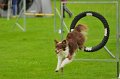 2013-05-19 um 09-06-56